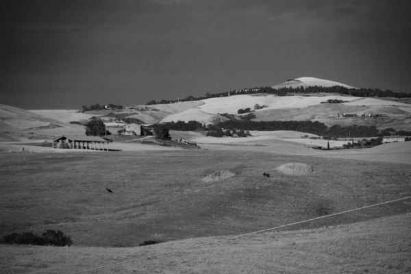 20120626_MG_8774