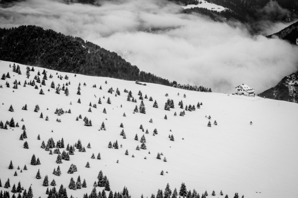 20130202_MG_3571