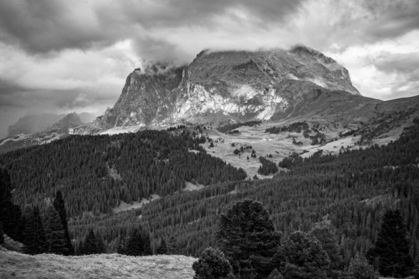 IMG_2241