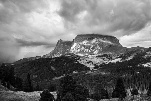 IMG_2246