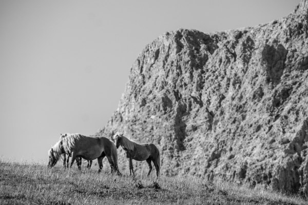IMG_2302